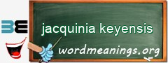 WordMeaning blackboard for jacquinia keyensis